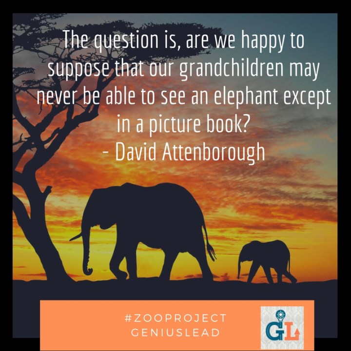 Save the Elephants, Secure their Future_GeniusLead